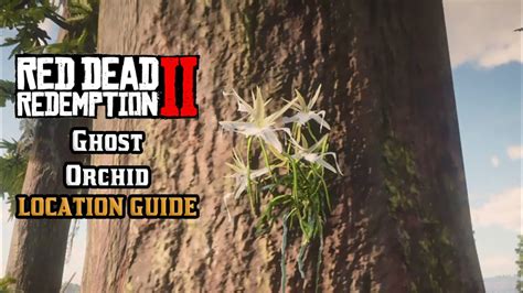 The Enigmatic Ghost Orchid in Red Dead Redemption 2: A Journey into Botanical Rarity