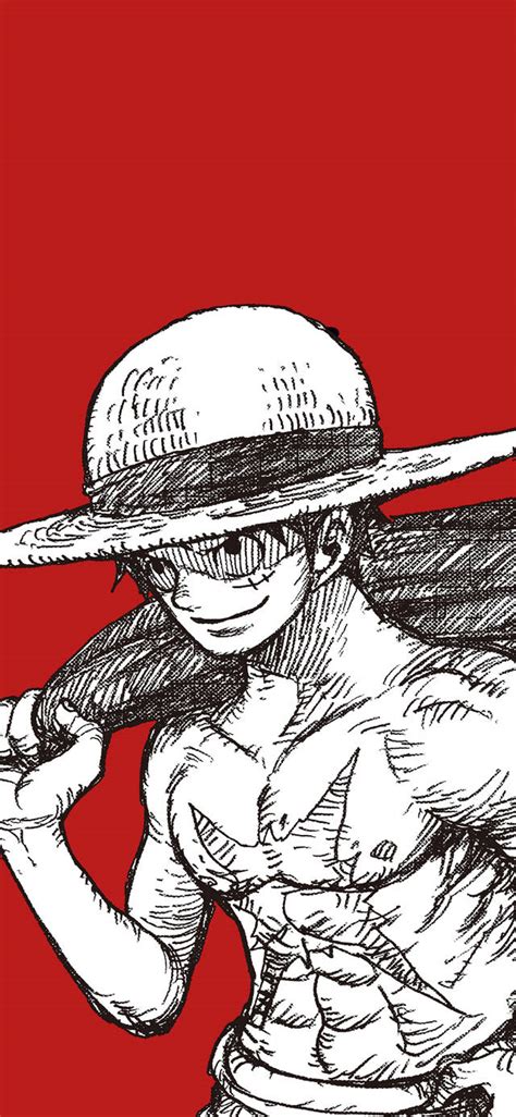 The Enigmatic Luffy Sash: A Symbol of Unwavering Determination