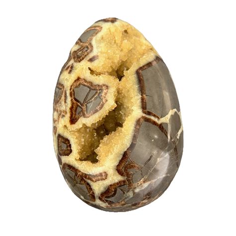 The Enigmatic Septarian Egg: A Geological Wonder with Mystical Allure