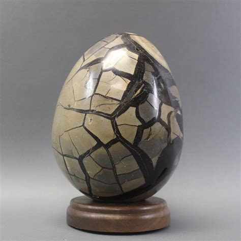 The Enigmatic Septarian Egg: Unraveling Its Ancient Wisdom and Modern-Day Applications