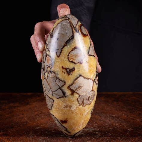 The Enigmatic Septarian Egg: Unveiling Its Inner Alchemy