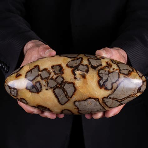 The Enigmatic Septarian Stone: A Cosmic Tapestry of Earth, Sea, and Sky