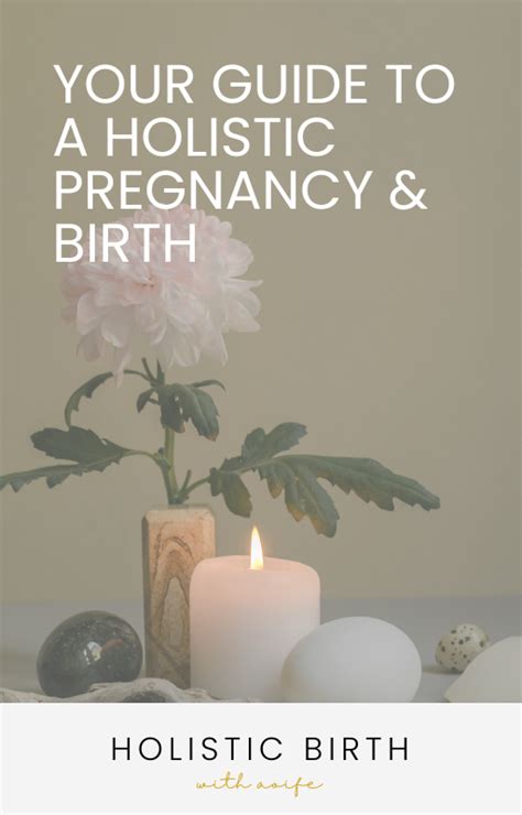 The Enlightened Babe: A Comprehensive Guide to Holistic Pregnancy, Birth, and Beyond