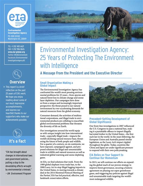 The Environment (Investigate) PDF