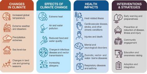 The Environmental and Health Impact of Everyday Choices