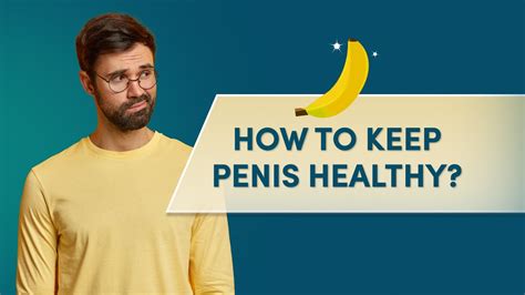 The Erect Model: A Comprehensive Guide to Maintaining a Healthy Erect Penis