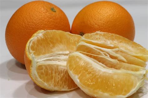 The Escort Orange: A Citrus Powerhouse Loaded with Benefits