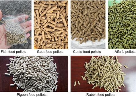 The Essence of Cattle Feed Pelleting