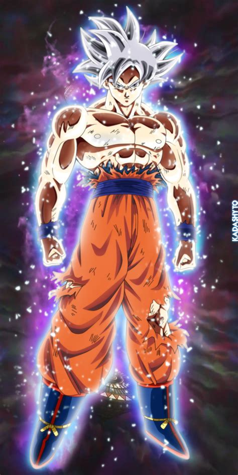 The Essence of Mastered Ultra Instinct