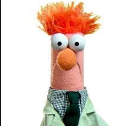 The Essence of the Beaker Muppet Character