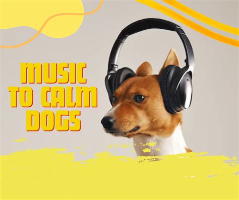 The Essential Guide to Calming Dog Music