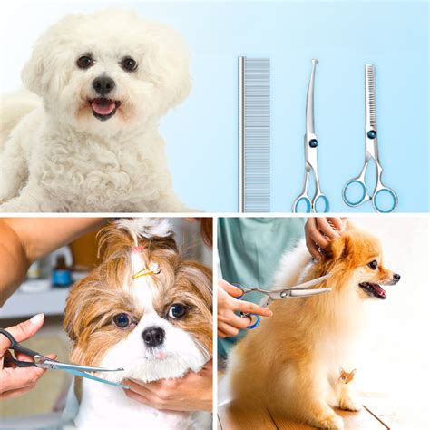 The Essential Guide to Dog Nail Clippers: Find the Perfect Clippers for Your Furry Friend