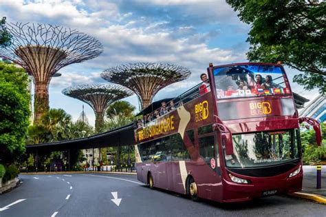 The Essential Guide to Navigating Singapore's Hop-On, Hop-Off Bus Network