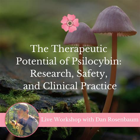 The Essential Guide to Shroomybaby: Unlocking the Potential of Psilocybin Therapy