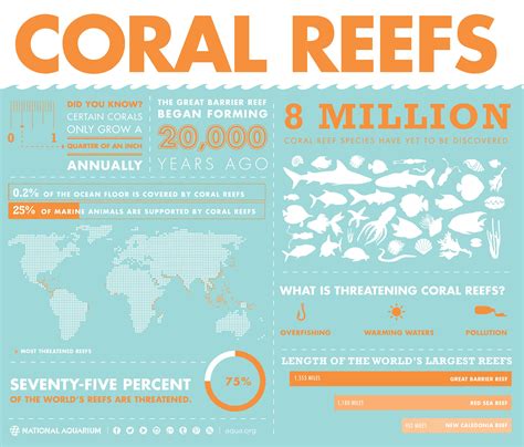 The Essential Guide to Sign in Coral: