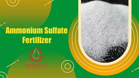 The Essential Role of Ammonia Sulfate Fertilizer