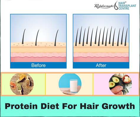 The Essential Role of Protein in Hair