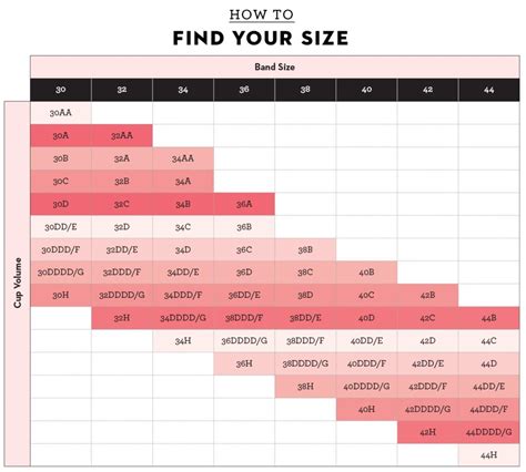 The Ever-Evolving Landscape of Bra Sizing