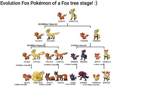 The Evolution of Fox's Role