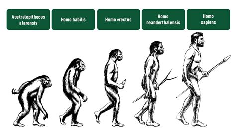 The Evolution of Man Reader