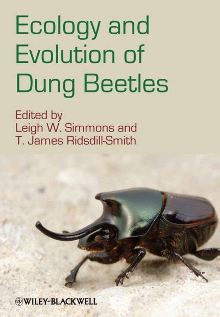 The Evolutionary Marvel of Dung Beetles