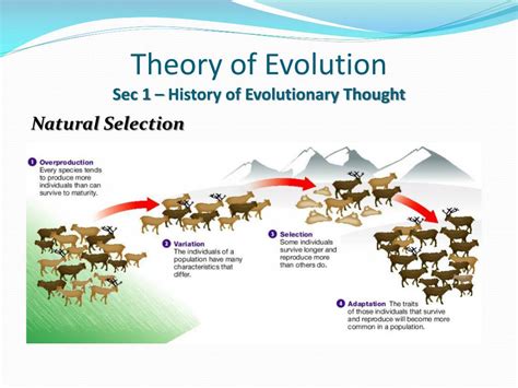 The Evolutionary Process A Critical Study of Evolutionary Theory Epub