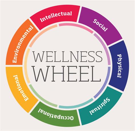 The Experience Wellness Project Your Health is My Business Kindle Editon