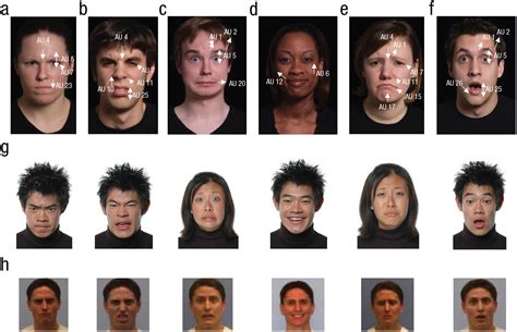 The Facial Party: A Revolutionary Way to Analyze Facial Expressions