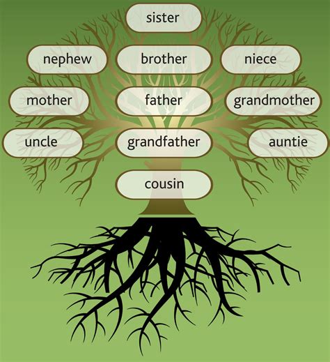 The Family Tree Reader