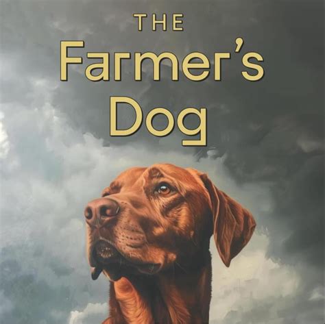 The Farmer's Dog: Before and After Photos 2025