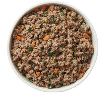 The Farmer's Dog Beef Recipe: 2025's Ultimate Dog Food Showdown