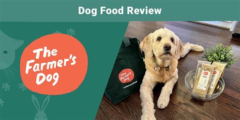 The Farmer's Dog FAQs and Answers: Uncovering the Ultimate Pet Nutrition Model in 2025