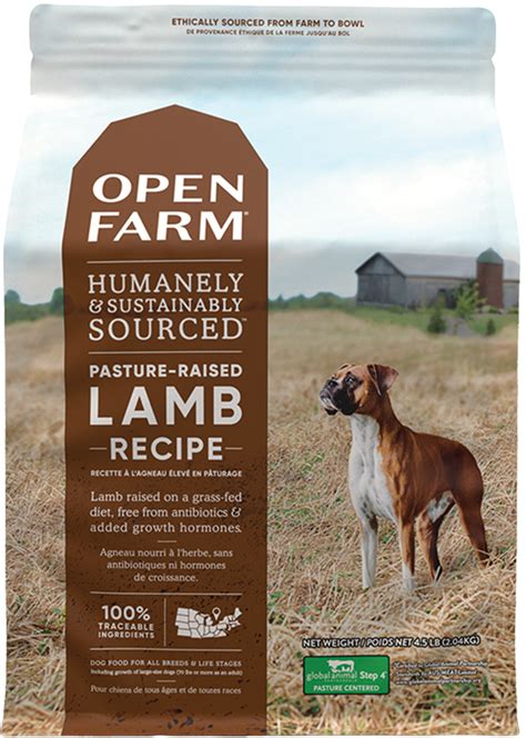 The Farmer's Dog Lamb Recipe: A Comparative Review in 2025