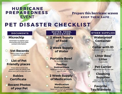 The Farmer's Dog and Pet Emergency Preparedness: 2025 + 5 VS. Us