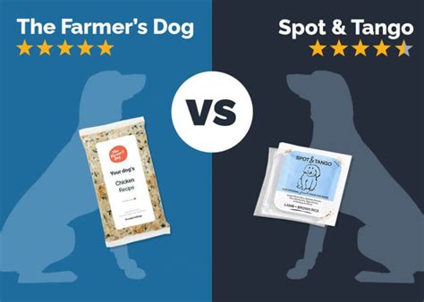 The Farmer's Dog vs. Pet Playtime: A 2025 Showdown