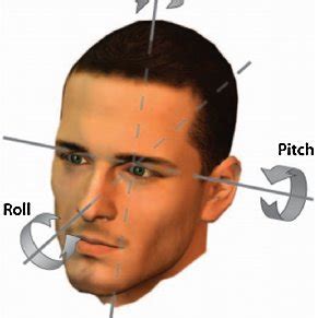 The Fascinating 6,438 Degrees of Freedom of the Human Face