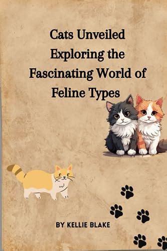 The Fascinating World of Feline Videos: A Comprehensive Guide