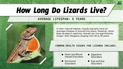 The Fascinating World of Lizard Lifespans: From Minute to Mammoth