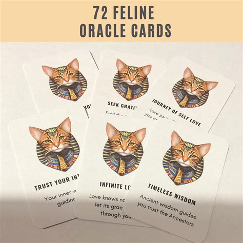 The Feline Oracle: Understanding Karma's Multifaceted Nature