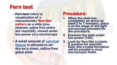 The Fern Test: Unlocking Fetal Health Insights