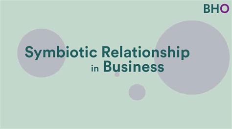 The Flourishing Symbiosis of Business and Hospitality: A Comprehensive Guide