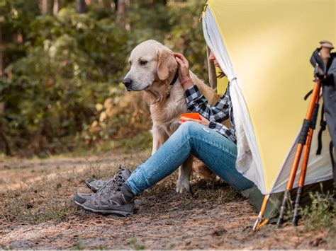 The Foggy Dog: Your Ultimate 2025 Pet-Friendly Outdoor Adventure Guide