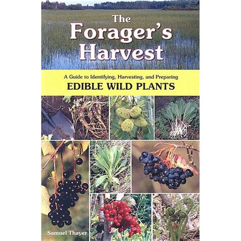 The Forager s Harvest A Guide to Identifying Harvesting and Preparing Edible Wild Plants Epub
