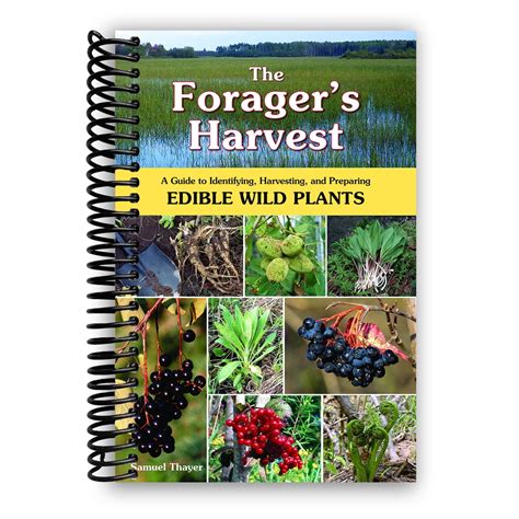 The Forager s Harvest A Guide to Identifying Harvesting and Preparing Edible Wild Plants Epub