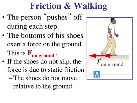 The Forces That Shoes Exert: A Comprehensive Guide