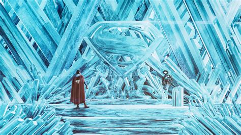 The Fortress of Solitude Reader