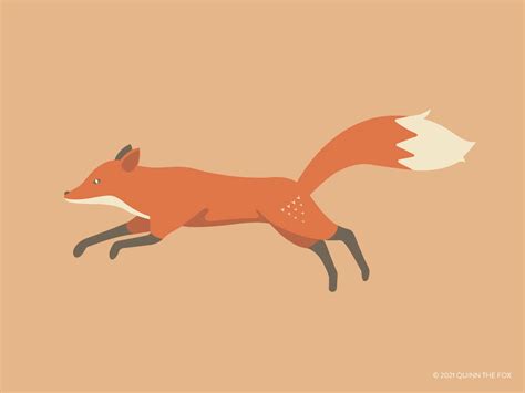 The Fox Run Kindle Editon