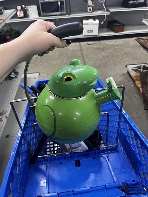 The Frog in the Kettle Doc