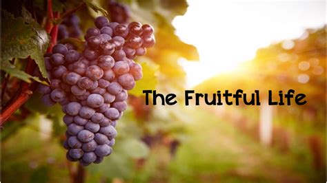 The Fruitful Life Epub