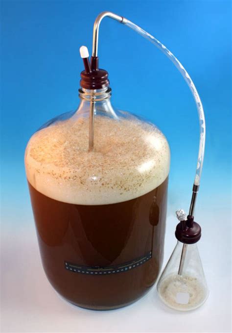 The Fungus Among Us Yeast Culturing for HomeBrewers Reader